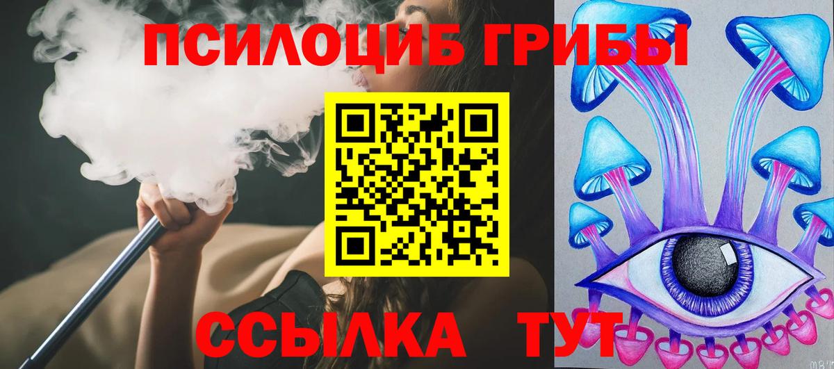 Галлюциногенные грибы мицелий  Вход с VPN  Междуреченск 