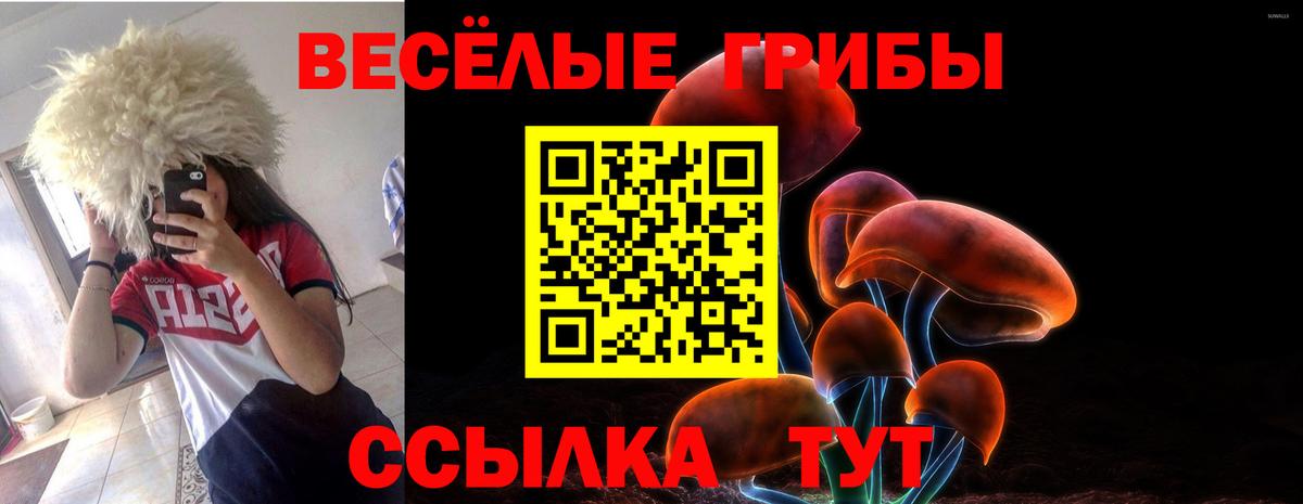 Галлюциногенные грибы Psilocybe Междуреченск